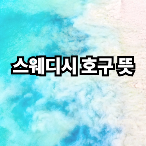 스웨디시 호구 뜻 알아보기